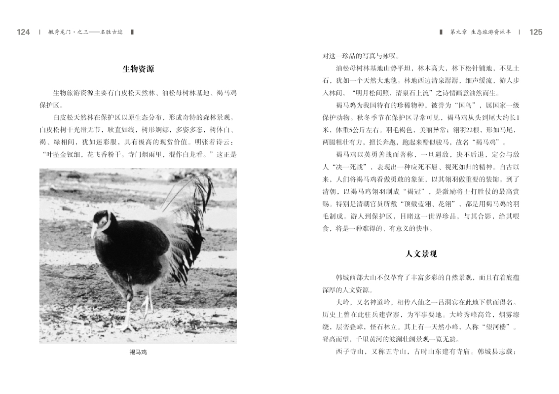 3-内文62.jpg